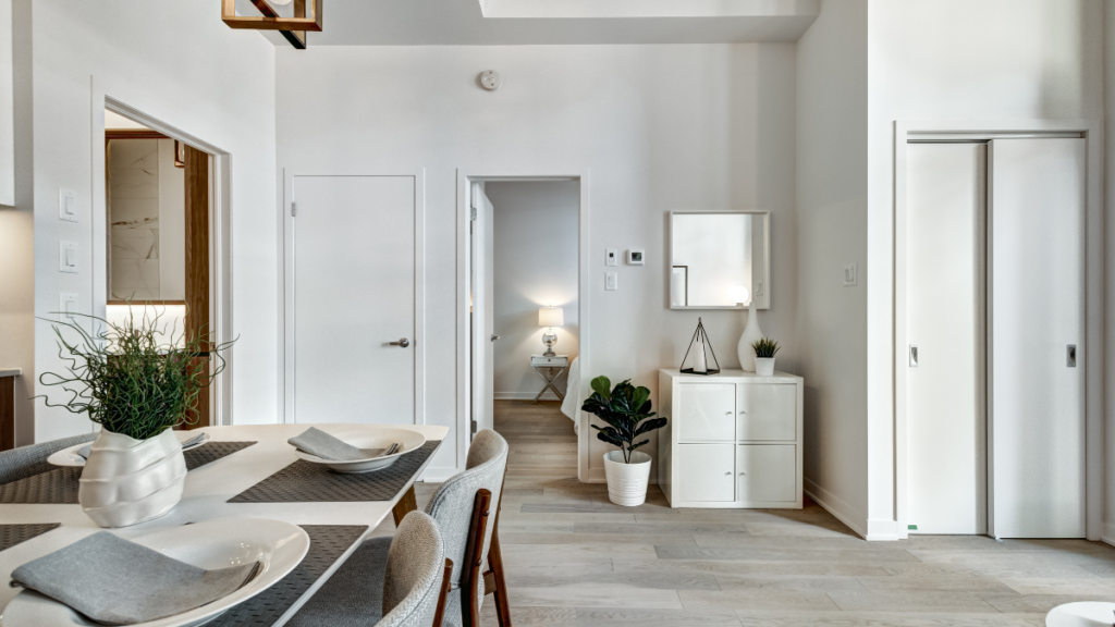 Nowoczesne, jasne mieszkanie na wynajem